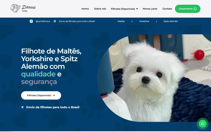 Site desenvolvido para Canil Dirraus
